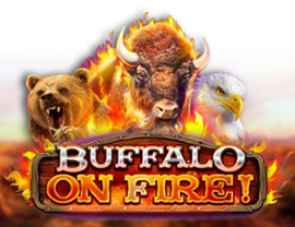 Buffalo on Fire!